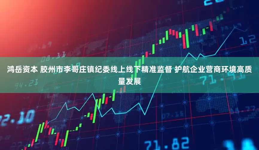 鸿岳资本 胶州市李哥庄镇纪委线上线下精准监督 护航企业营商环境高质量发展