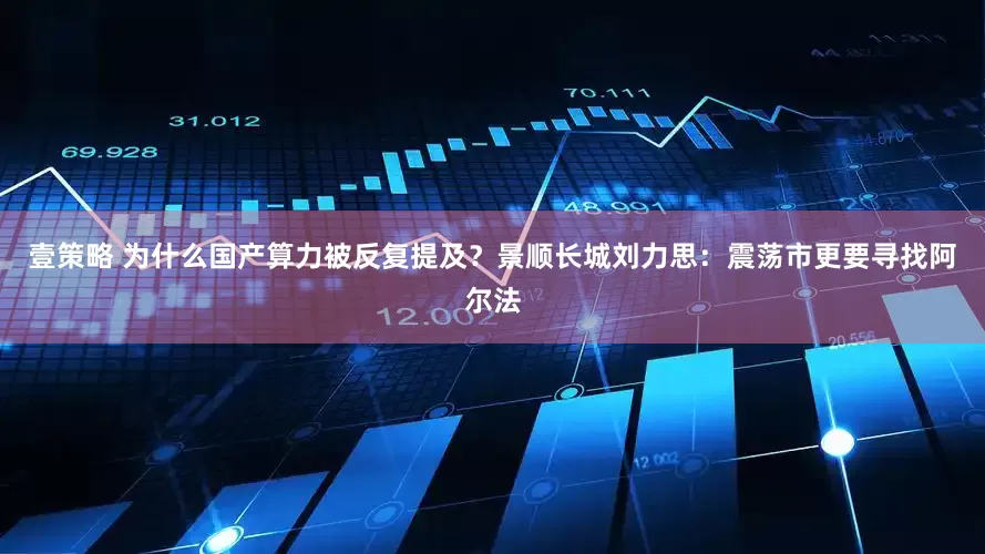 壹策略 为什么国产算力被反复提及？景顺长城刘力思：震荡市更要寻找阿尔法